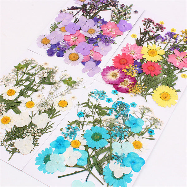 Mixed Natural Dried Flowers Filling Material for Crystal Epoxy