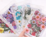 CoolDIY® Natural Dried Flowers Combination DIY Pressed Herbarium Flower Decorative for Resin Jewelry Crafts Nail Stickers