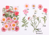 CoolDIY® Natural Dried Flowers Combination DIY Pressed Herbarium Flower Decorative for Resin Jewelry Crafts Nail Stickers