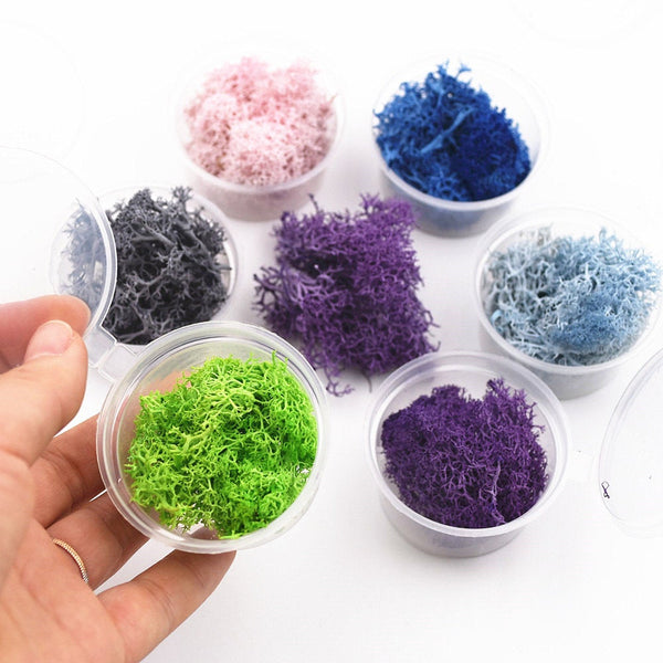 Mixed Natural Dried Flowers Filling Material for Crystal Epoxy